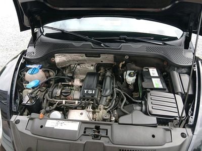 VW Beetle