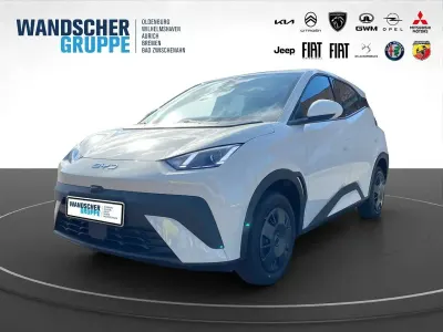Neu BYD Dolphin Surf Active 64 kW (88 PS) 2025 Weiß Kleinwagen