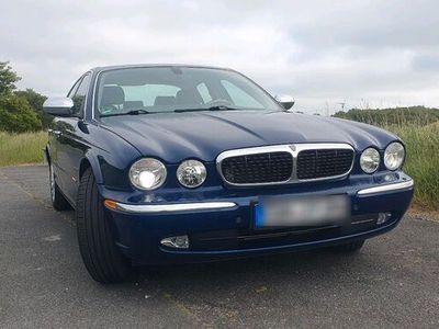 gebraucht Jaguar XJ8 3,5L V8 - sparsam, leicht, sportlich elegant