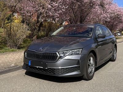 Usata Skoda Octavia SE 150 CV (110 kW) 2024 Grigio Station wagon