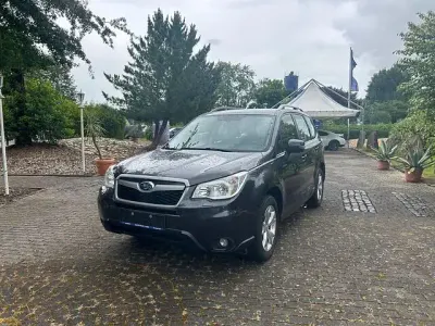 Gebraucht Subaru Forester