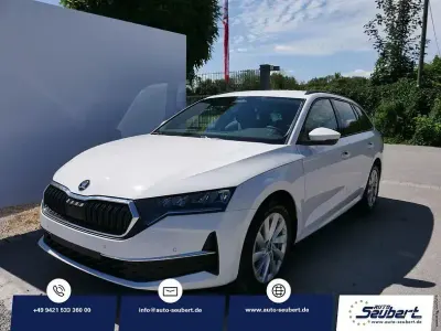 Neu Skoda Octavia Selection 150 PS (110 kW) 2026 Candyweiß Kombi