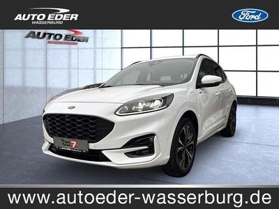 Gebraucht Ford Kuga ST-Line X 224 PS (164 kW) 2022 Weiß SUV