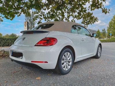 gebraucht VW Beetle Daisy! TheCabriolet 1.2 TS SELTENHEIT