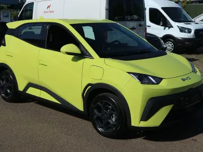 Gebraucht BYD Dolphin Surf