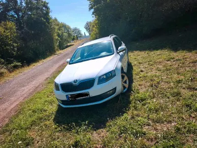 Gebraucht Skoda Octavia 150 PS (110 kW) 2016 Weiß Kombi