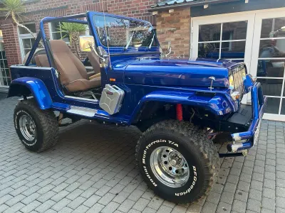 Gebraucht Jeep Wrangler 121 PS (88 kW) 1989 Blau SUV