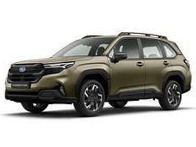 Neu Subaru Forester Trend 136 PS (100 kW) 2025 Grau SUV