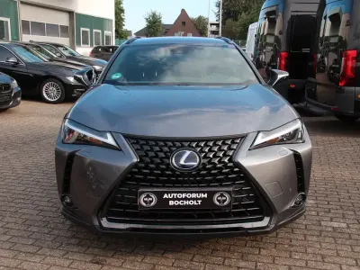 Gebraucht Lexus UX 250h 152 PS (111 kW) 2021 Grau SUV