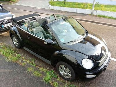 VW Beetle