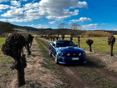 Brugt Ford Mustang GT S 305 HK (224 kW) 2007 Blå Cabriolet