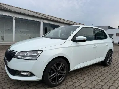 Gebraucht Skoda Fabia Active 75 PS (55 kW) 2019 Weiß Kleinwagen