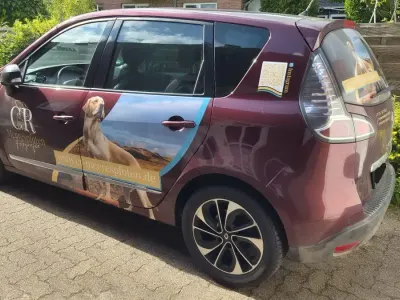 Gebraucht Renault Scénic III
