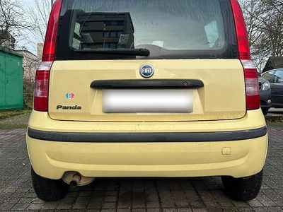 Gebraucht Fiat Panda 59 PS (43 kW) 2007 Gelb Kleinwagen