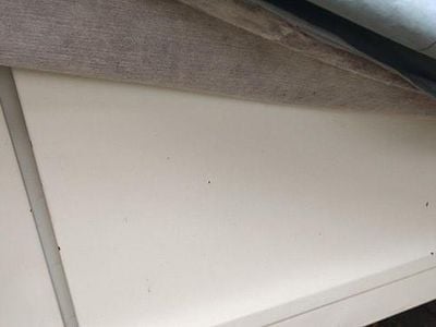 Weiß Gebraucht 1981 Citroën 2CV Limousine | 7.997 €