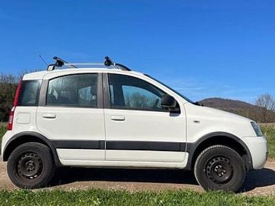 Gebraucht Fiat Panda 4x4 69 PS (50 kW) 2011 Weiß Kleinwagen