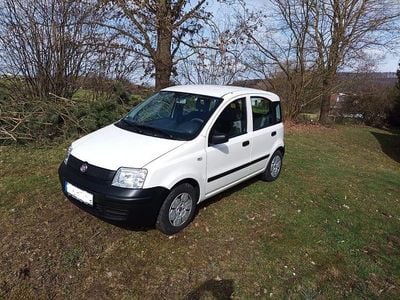 Second-hand Fiat Panda Active 54 CP (39 kW) 2009 Alb Hatchback
