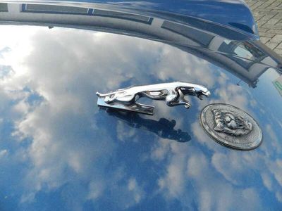 gebraucht Jaguar XJS C V12 Automatik Convertible