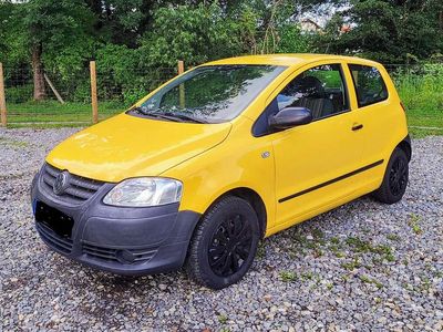 VW Fox