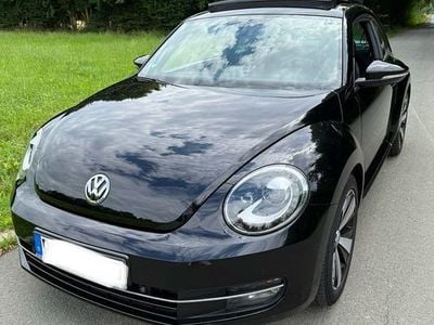 VW Beetle