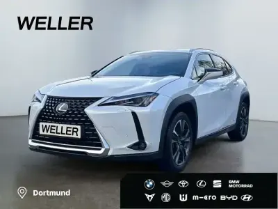 Gebraucht Lexus UX 250h 184 PS (135 kW) 2022 Weiß SUV