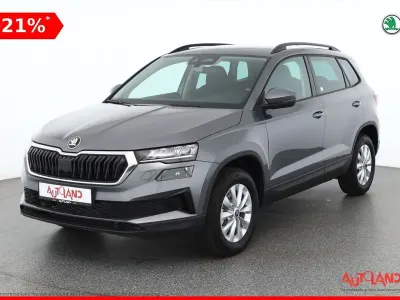 Neu Skoda Karoq Selection 150 PS (110 kW) 2025 Grau SUV