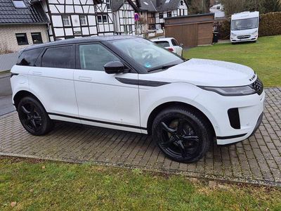 Gebraucht Land Rover Range Rover evoque SE Dynamic 200 PS (147 kW) 2021 Weiß SUV