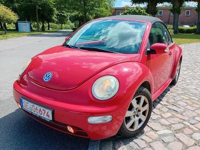 VW Beetle