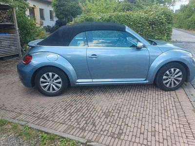 VW Beetle