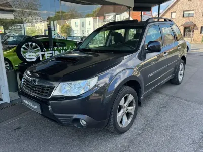 Gebraucht Subaru Forester