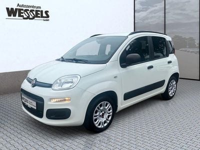 Weiß Gebraucht 2019 Fiat Panda Easy Kleinwagen | 9.400 € (Fairer Preis)