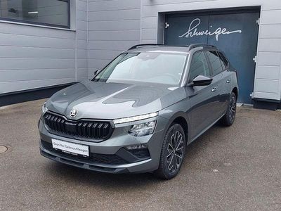 Grau Gebraucht 2025 Skoda Kamiq Selection SUV | 21.190 € (Guter Preis)