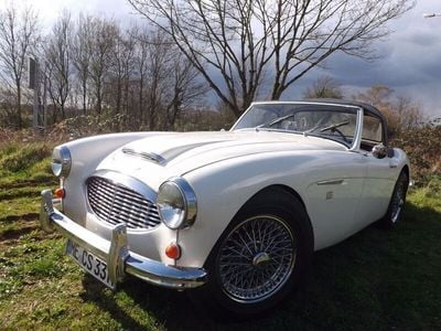 Gebraucht Austin Healey 3000 MK I 124 PS (91 kW) 1960 Cabrio