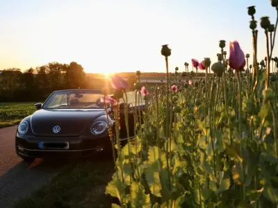 Gebraucht VW Beetle Cabriolet 105 PS (77 kW) 2014 Schwarz Cabrio