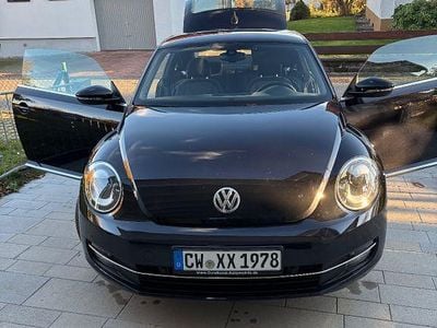 VW Beetle