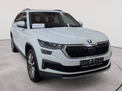 Gebraucht Skoda Kodiaq Clever 150 PS (110 kW) 2022 Moonweiß perleffekt SUV