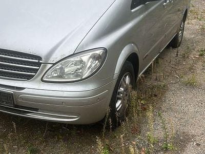 Mercedes Viano