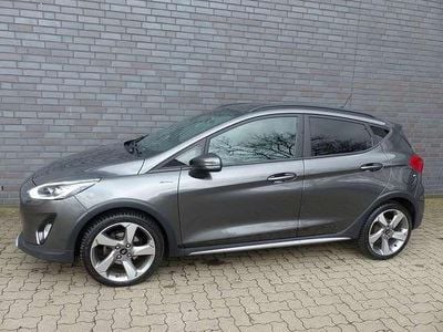 Usata Ford Fiesta Active 101 CV (74 kW) 2019 Grigio Utilitaria
