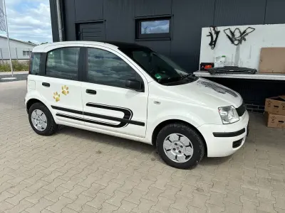 Gebraucht Fiat Panda 54 PS (39 kW) 2009 Weiß Kleinwagen