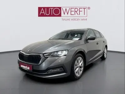 Gebraucht Skoda Octavia Style 150 PS (110 kW) 2024 Grau Kombi