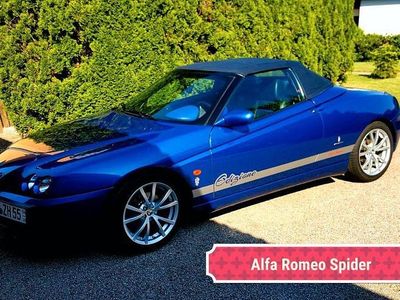 Alfa Romeo Spider