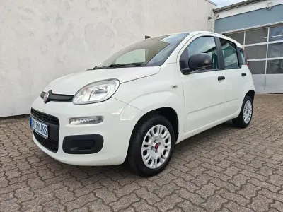 Usata Fiat Panda Easy 69 CV (50 kW) 2020 Bianco Utilitaria