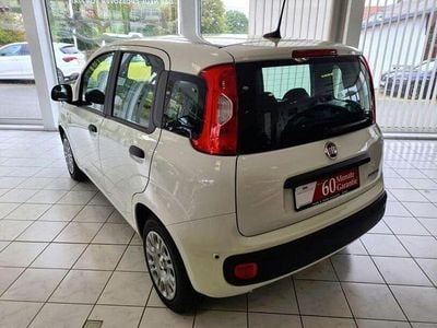 Second-hand Fiat Panda 51 CP (37 kW) 2025 Andere Hatchback