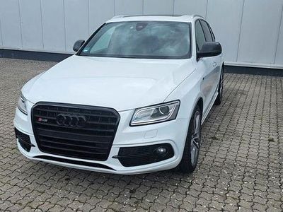Gebraucht Audi SQ5 Ambiente 313 PS (230 kW) 2015 Weiß SUV
