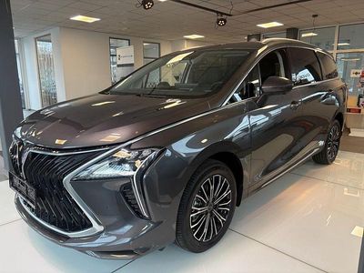 Grau Neu 2025 DFSK Forthing 4 Van / Kleinbus | 37.985 € (Fairer Preis)