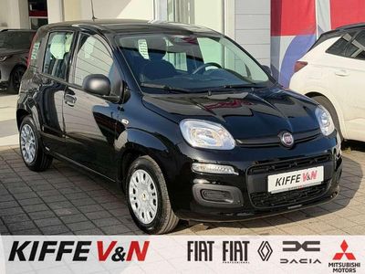 Neu Fiat Panda Icon 65 PS (47 kW) 2026 Passione rot Kleinwagen