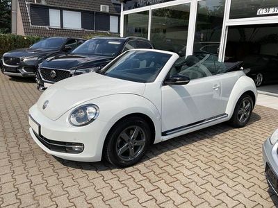VW Beetle