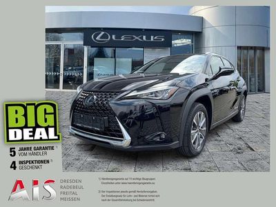 Lexus UX 300e