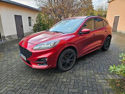Gebraucht Ford Kuga ST-Line X 224 PS (164 kW) 2021 Rot SUV