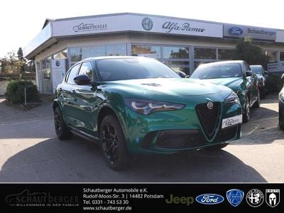 Neu Alfa Romeo Stelvio Quadrifoglio 519 PS (381 kW) 2025 Grün SUV